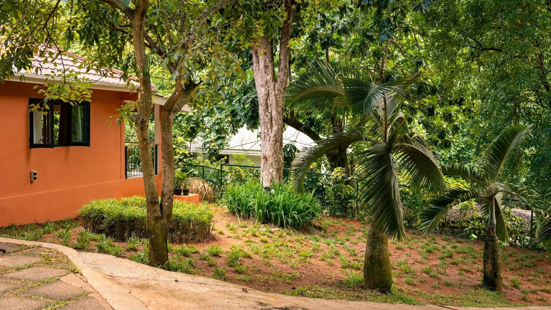 Pensiune Cote Cedres Hotel Bel Ombre Seychelles